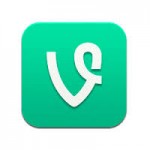 Vine