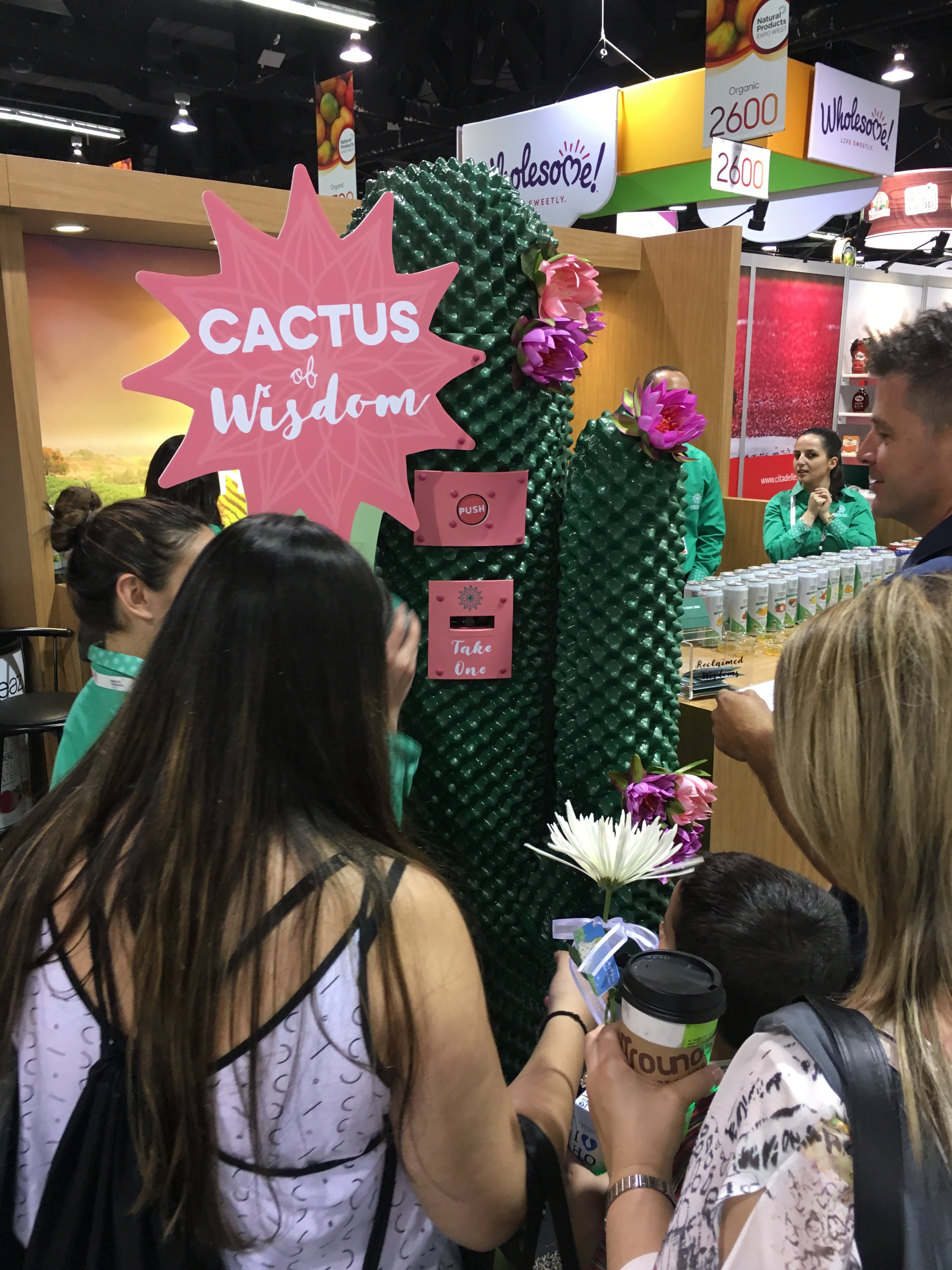 Steaz Teas Interactive Fortune-Telling Cactus